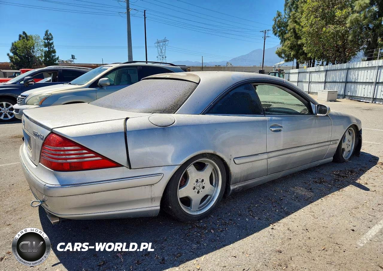 2001 Mercedes-Benz Cl 600 VIN:WDBPJ78J11A009706 - 3