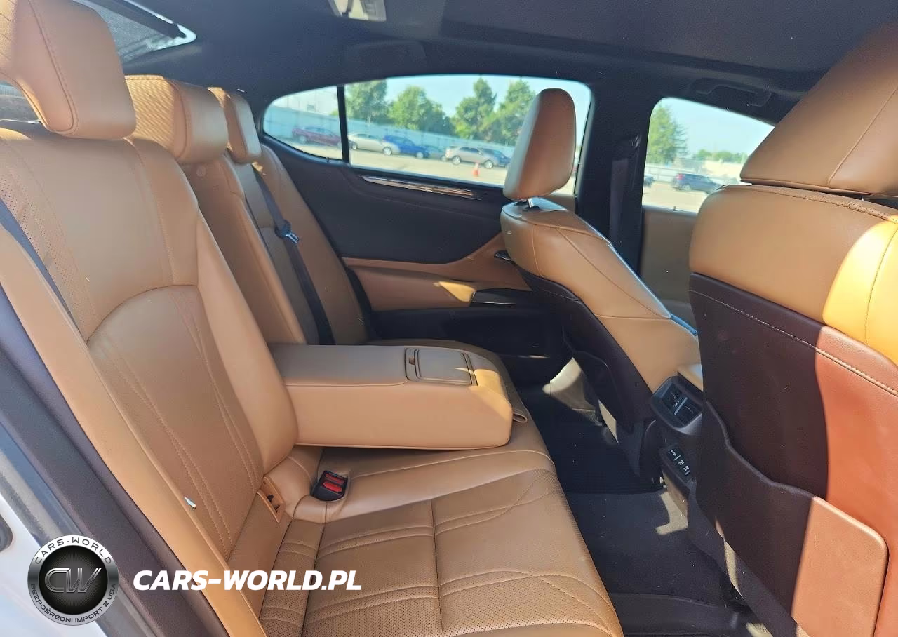 2019 Lexus Es 350 VIN:58ABZ1B17KU027609 - 10