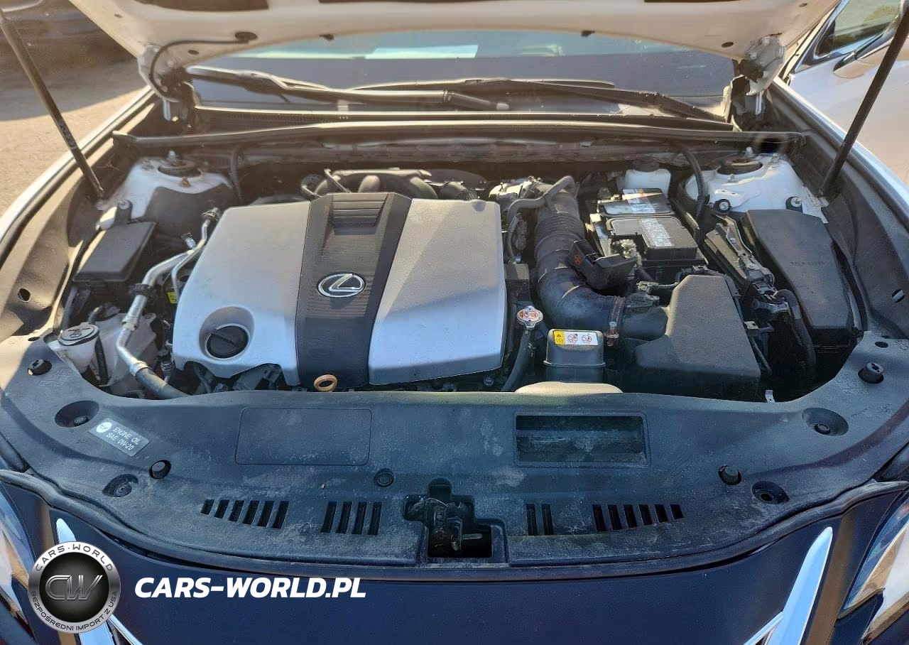 2019 Lexus Es 350 VIN:58ABZ1B17KU027609 - 11