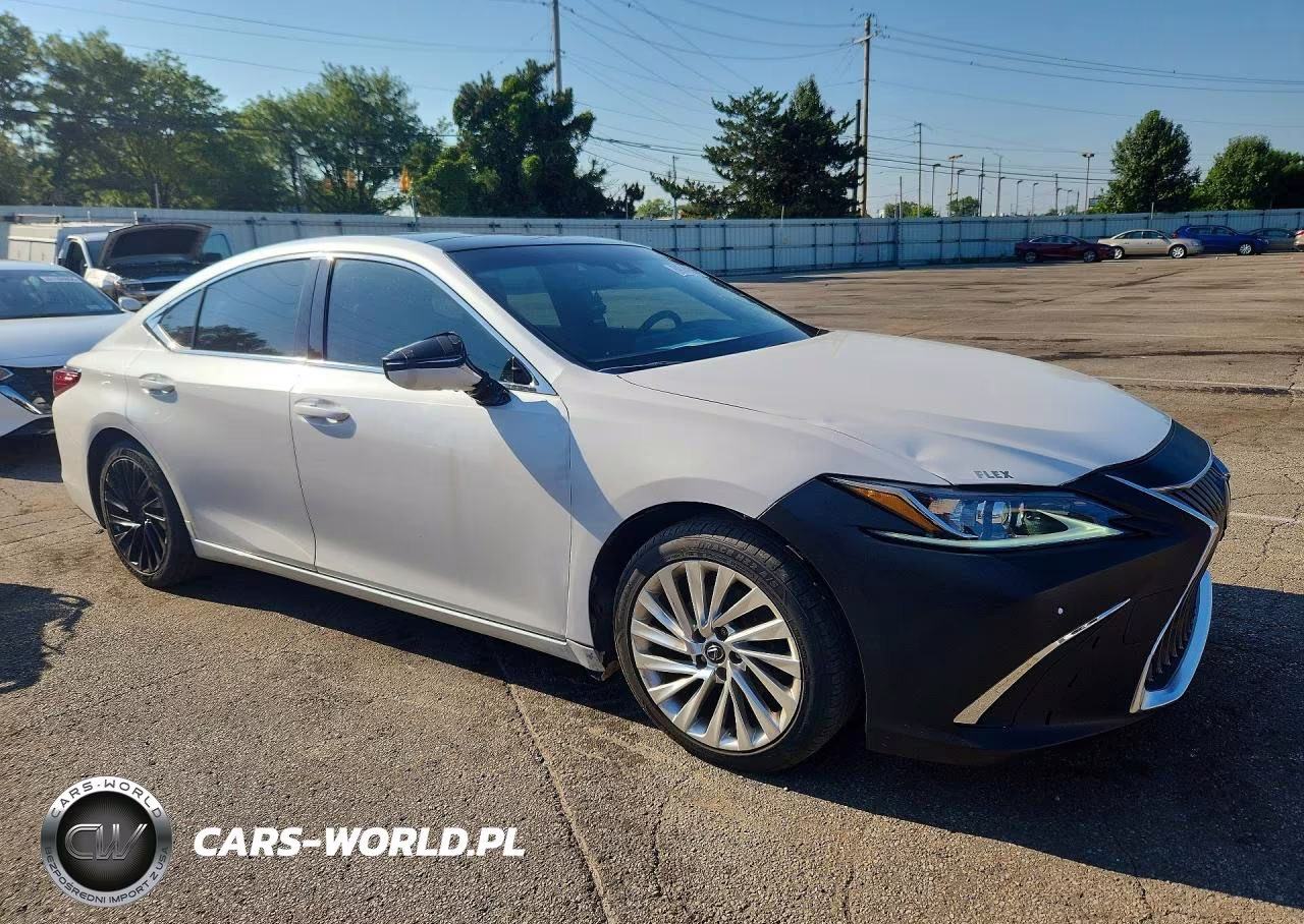 2019 Lexus Es 350 VIN:58ABZ1B17KU027609 - 4