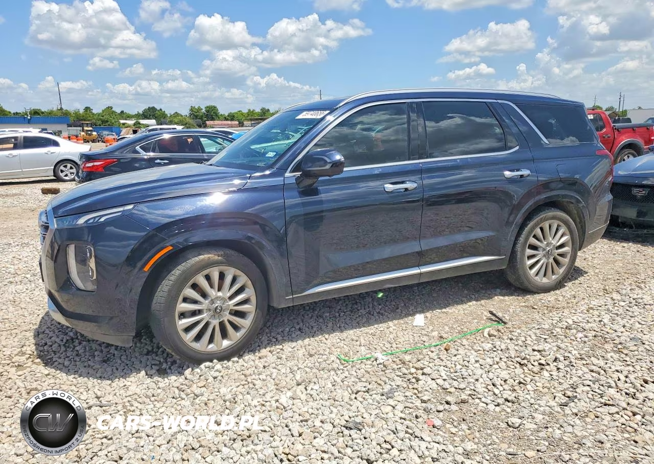 2020 Hyundai Palisade Limited – zdjęcie 1 z 13