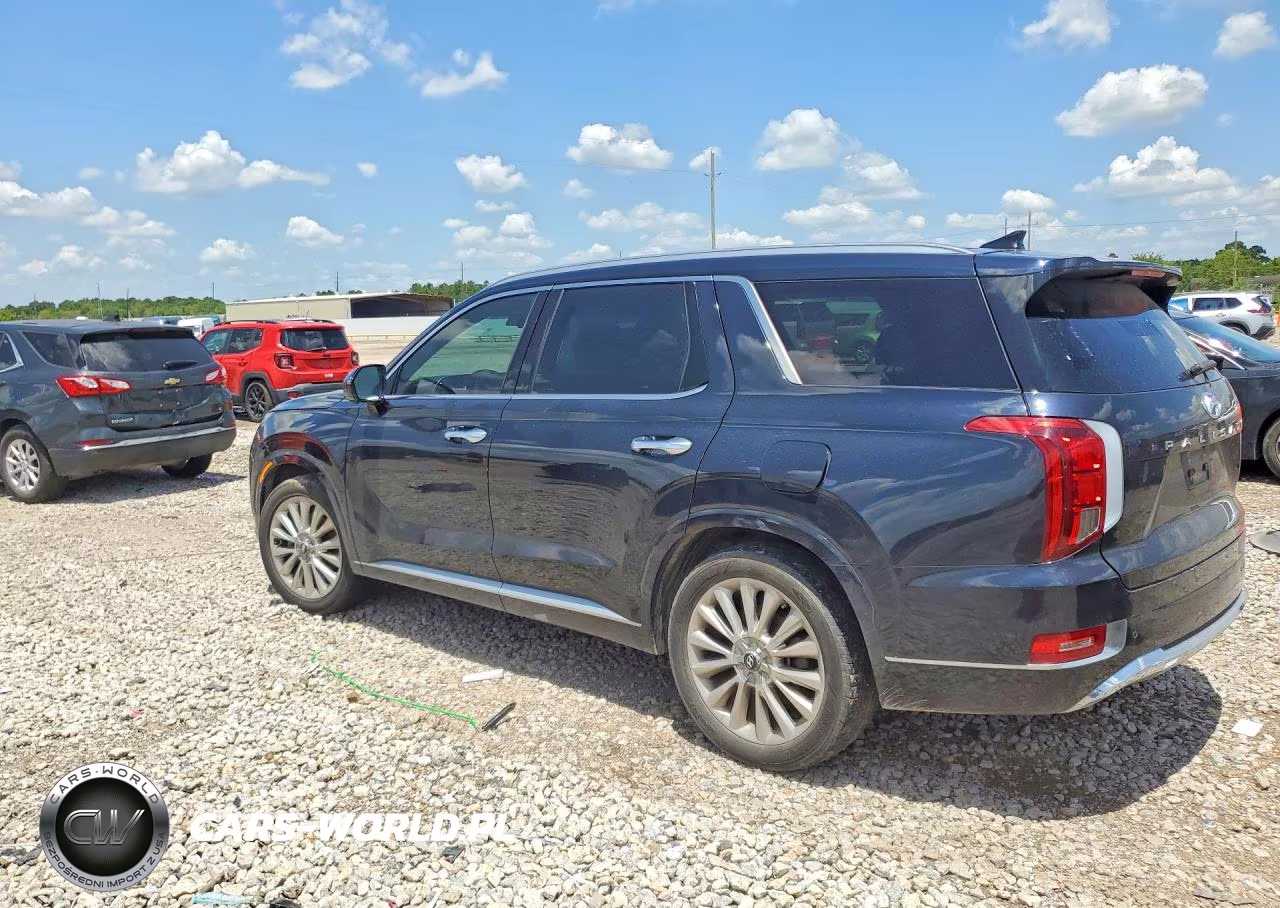 2020 Hyundai Palisade Limited VIN:KM8R54HE0LU138050 - 2