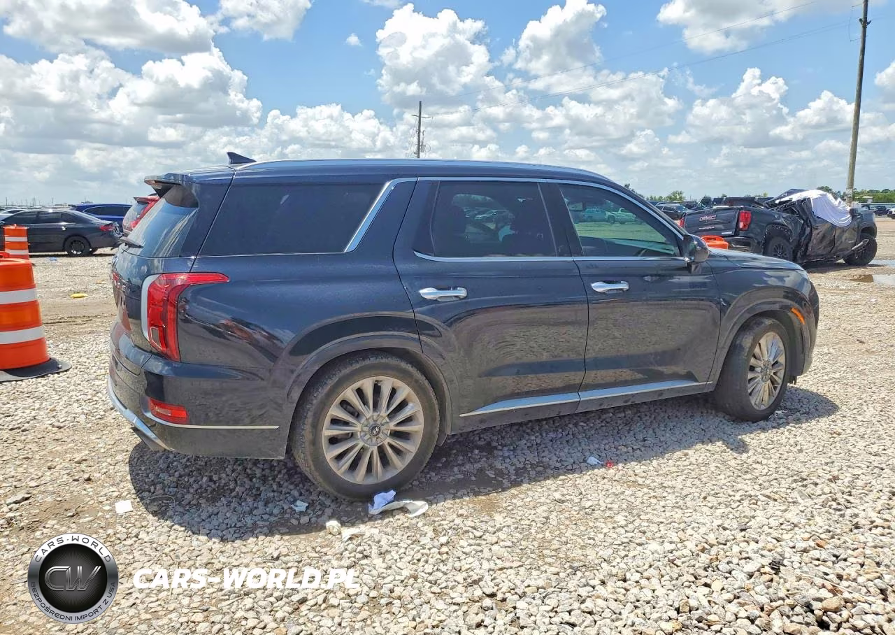 2020 Hyundai Palisade Limited VIN:KM8R54HE0LU138050 - 3
