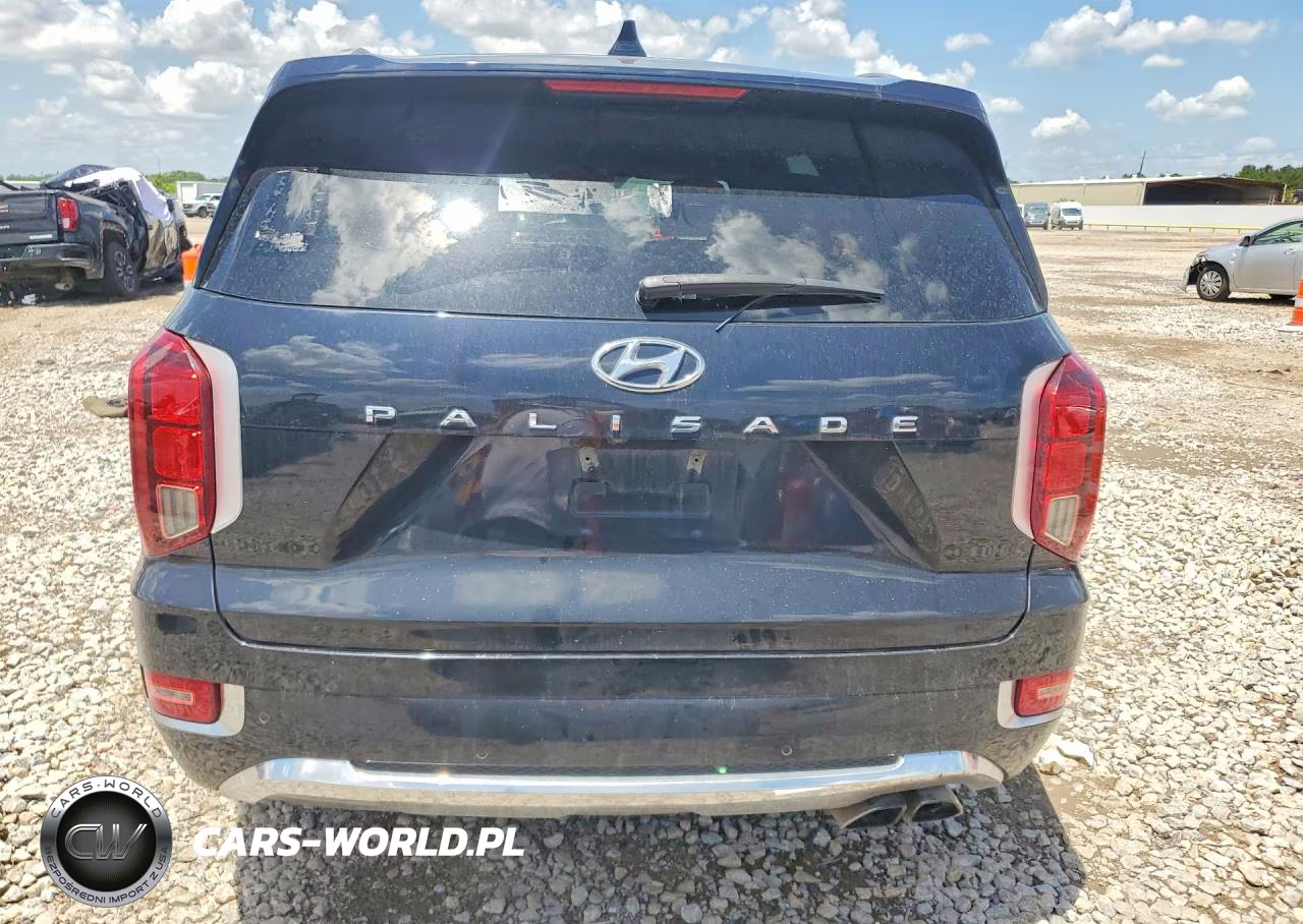 2020 Hyundai Palisade Limited VIN:KM8R54HE0LU138050 - 6