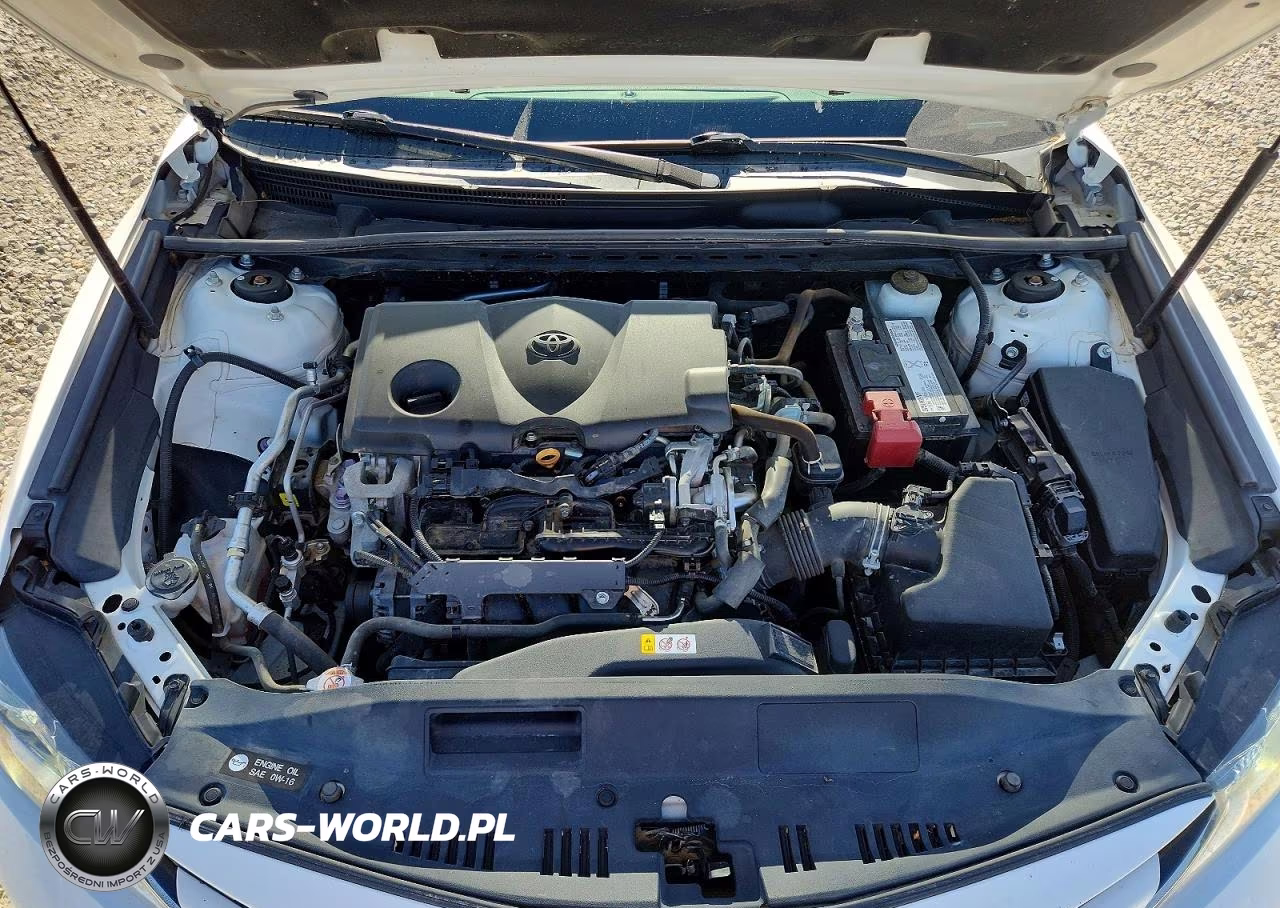 2019 Toyota Camry Le VIN:4T1B11HK4KU831221 - 11