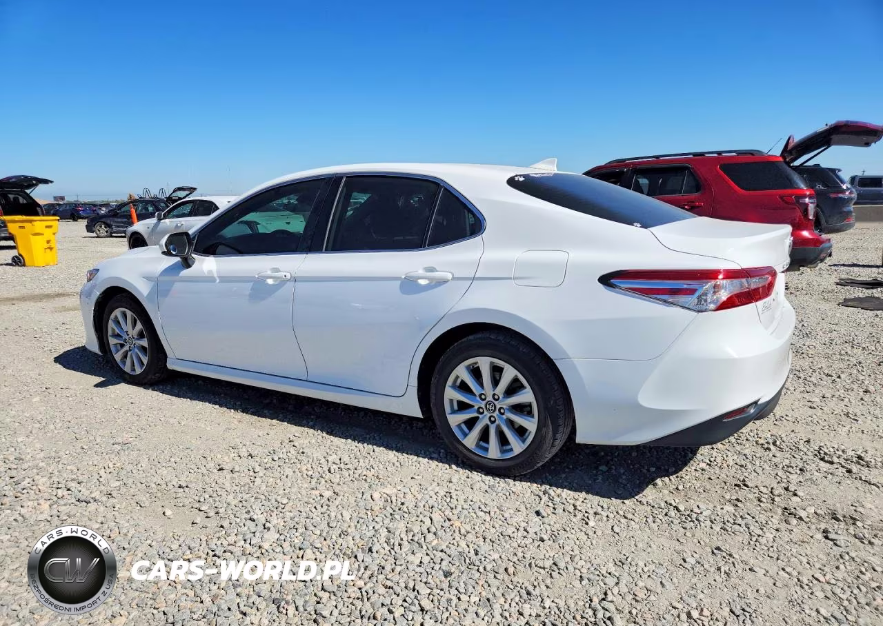 2019 Toyota Camry Le VIN:4T1B11HK4KU831221 - 2