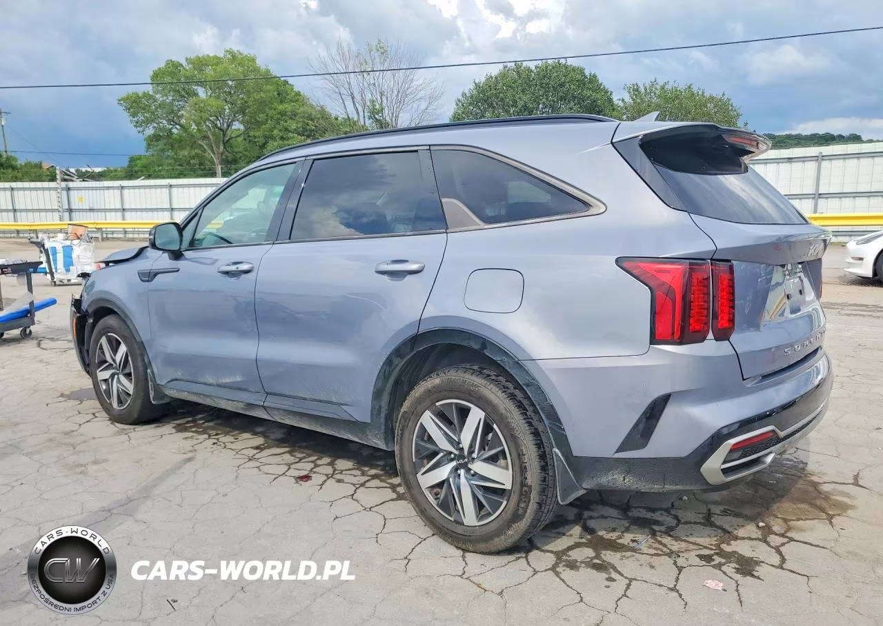 2022 Kia Sorento S VIN:5XYRL4LCXNG095230 - 2