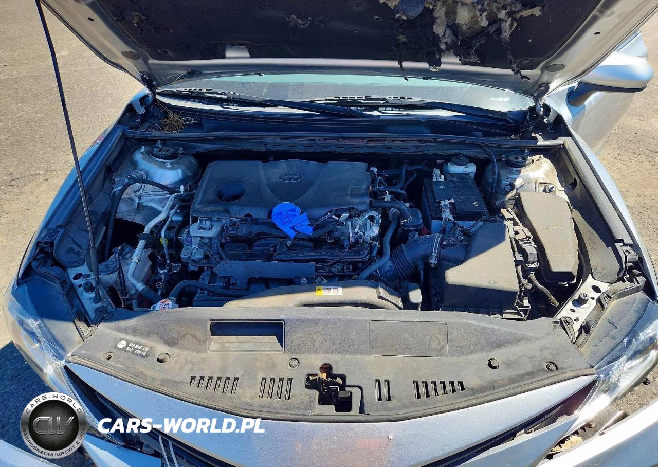 2021 Toyota Camry Le VIN:4T1C11AK4MU591704 - 11