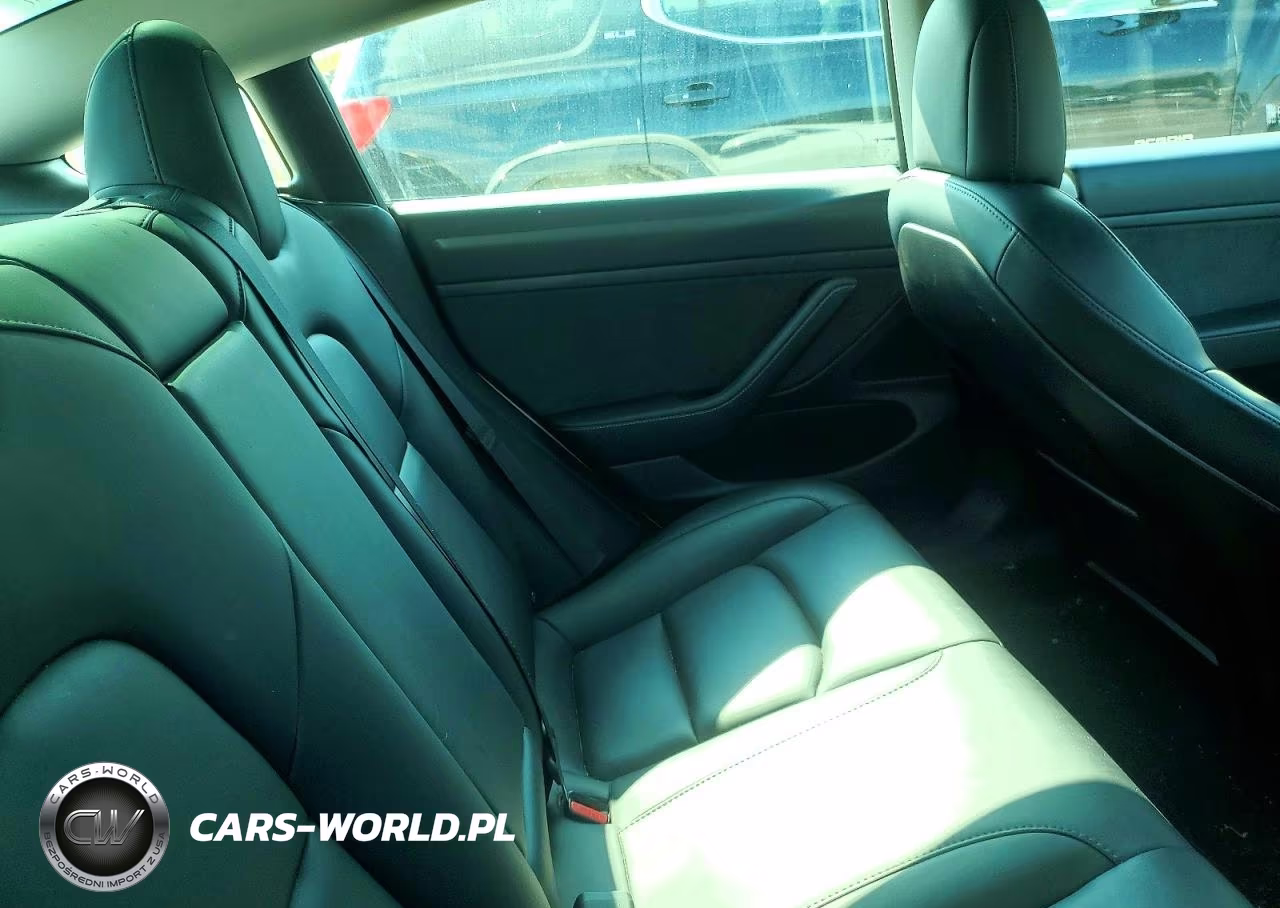 2020 Tesla Model 3 VIN:5YJ3E1EA2LF745022 - 10