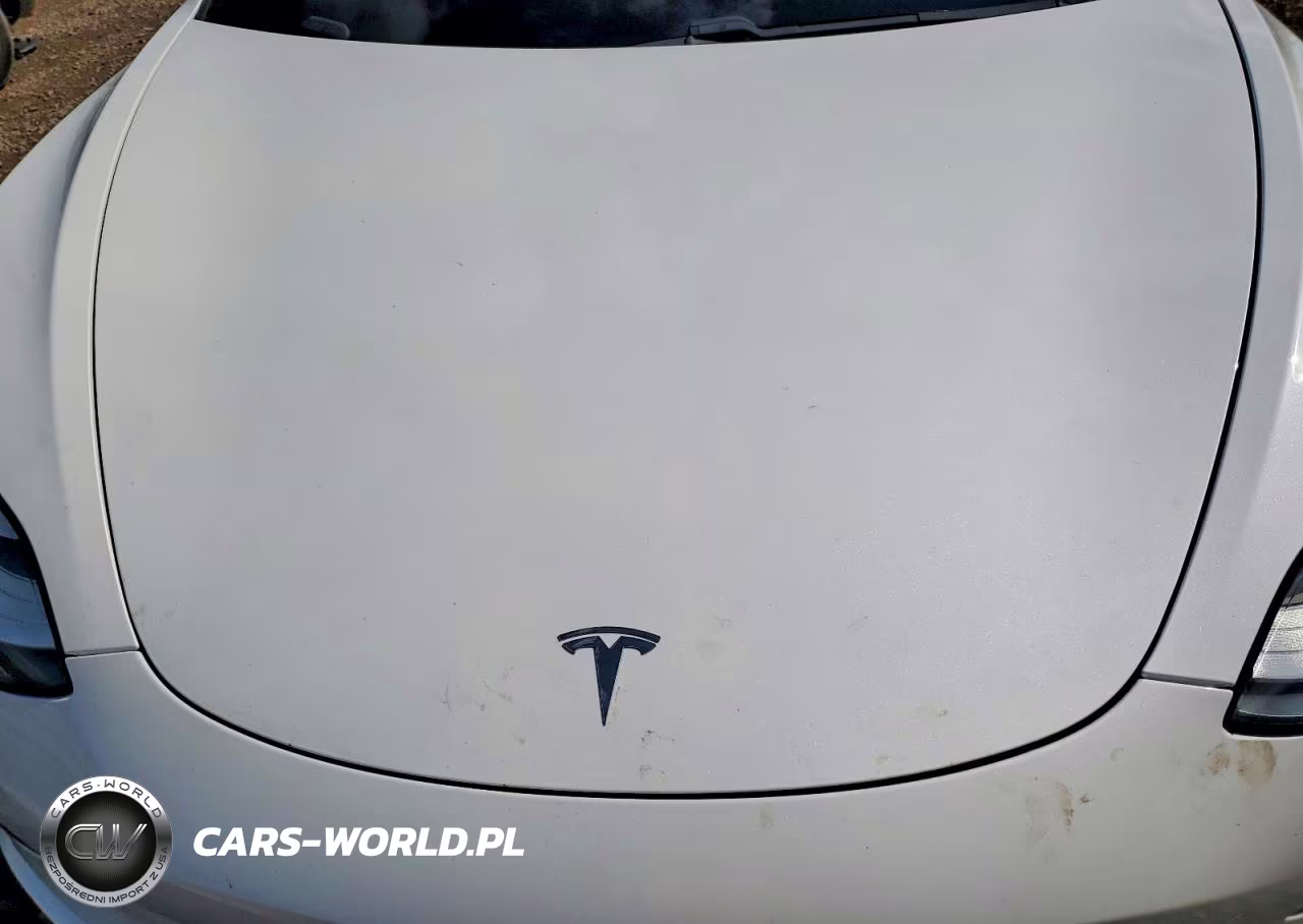 2020 Tesla Model 3 VIN:5YJ3E1EA2LF745022 - 11