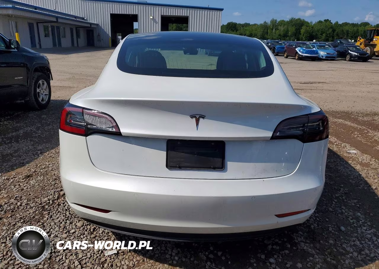 2020 Tesla Model 3 VIN:5YJ3E1EA2LF745022 - 6