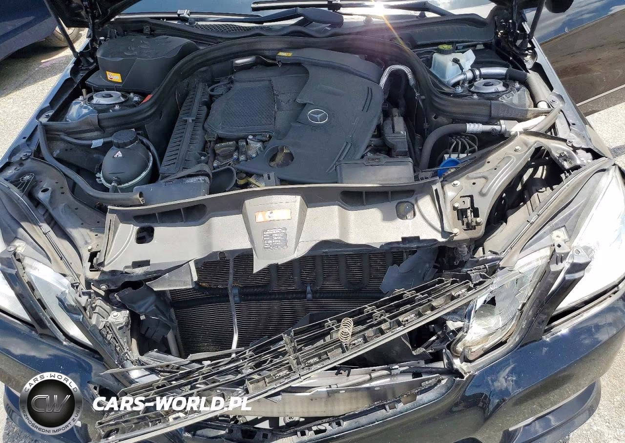 2013 Mercedes-Benz E 350 VIN:WDDHF5KB2DA700055 - 11