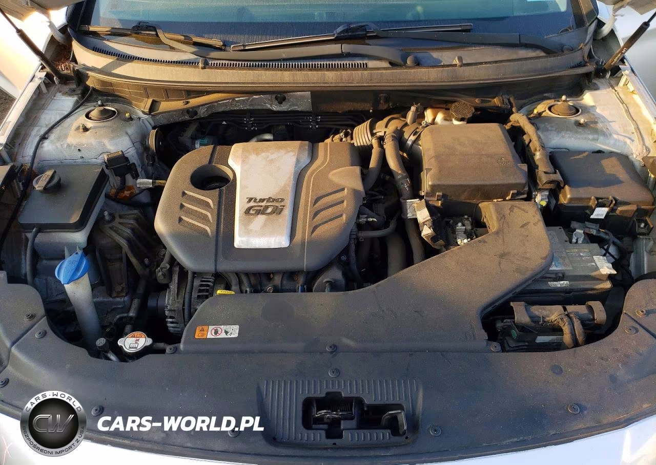 2015 Hyundai Sonata Eco VIN:5NPE24AA9FH142874 - 11
