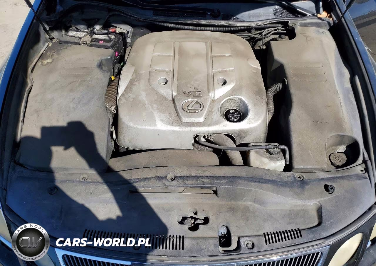 2006 Lexus Gs 300 VIN:JTHBH96S665036493 - 11