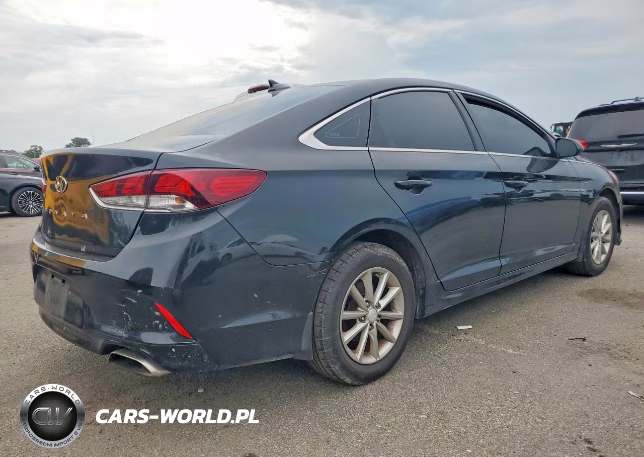 2019 Hyundai Sonata Se VIN:5NPE24AF6KH811365 - 3