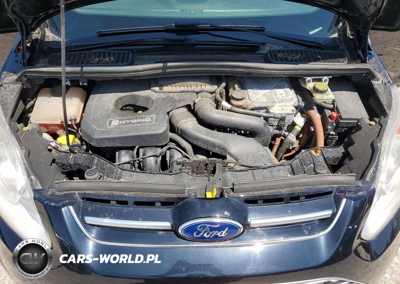 2016 Ford C-Max Sel VIN:1FADP5BU2GL103459 - 12