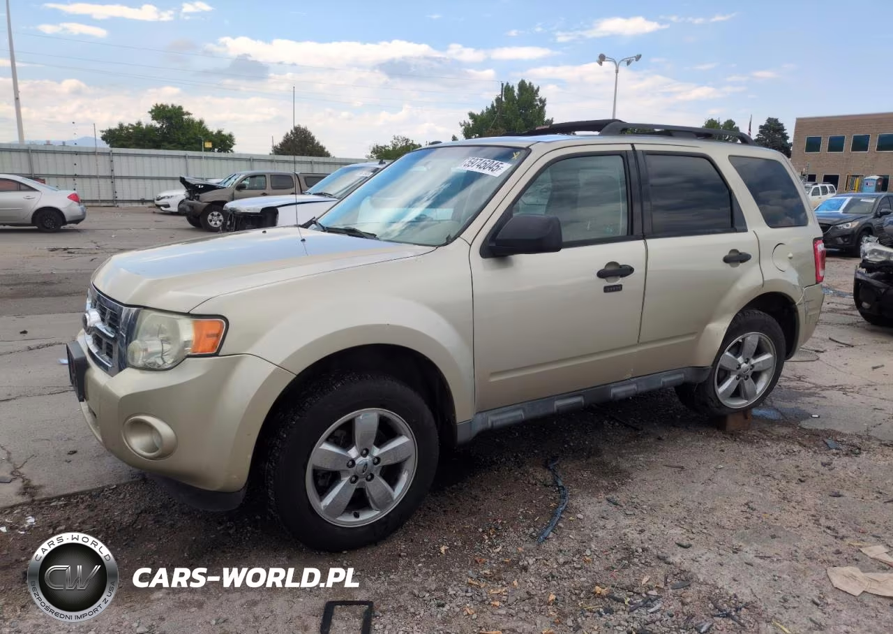 2010 Ford Escape Xlt