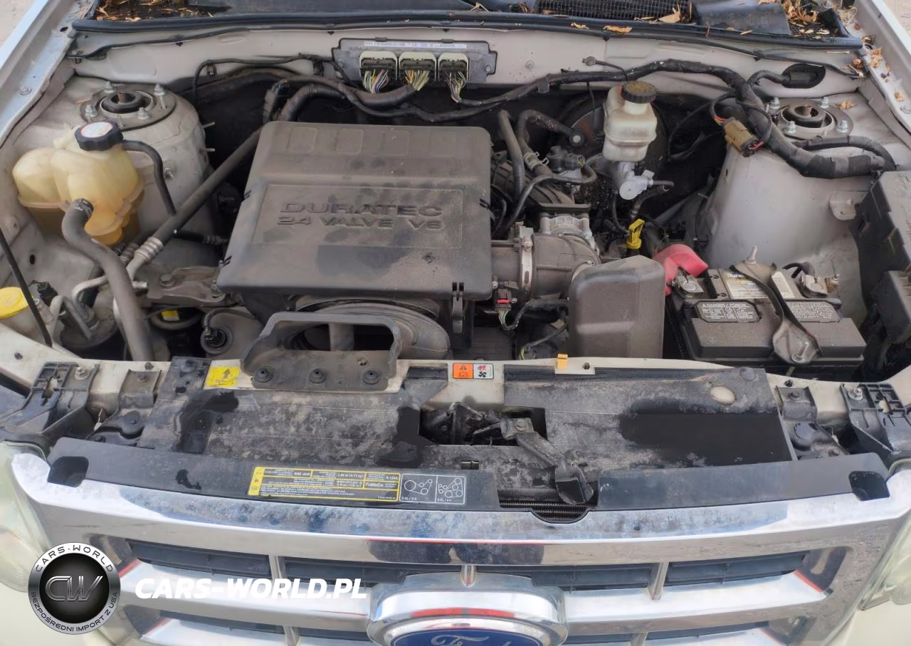 2010 Ford Escape Xlt VIN:1FMCU0DG6AKD27352 - 12