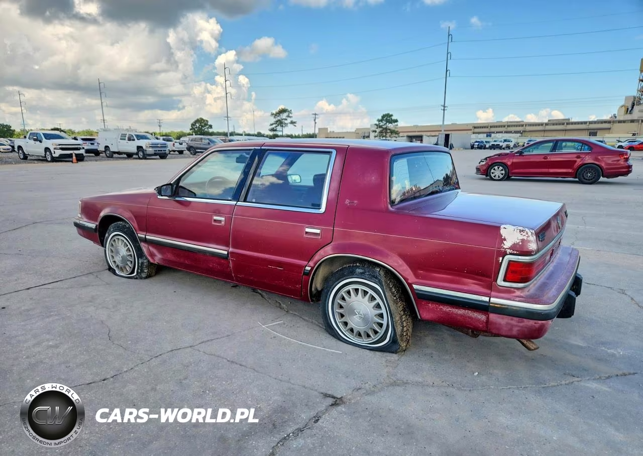 1993 Dodge Dynasty Le VIN:1B3XC56R7PD150877 - 2