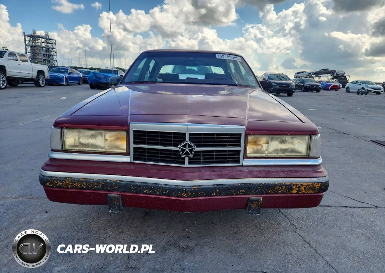 1993 Dodge Dynasty Le VIN:1B3XC56R7PD150877 - 5