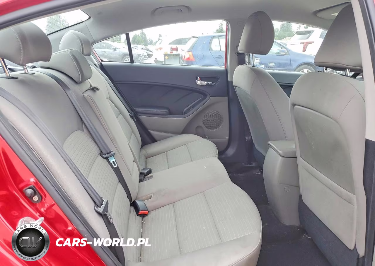 2015 Kia Forte Lx VIN:KNAFX4A64F5425603 - 10