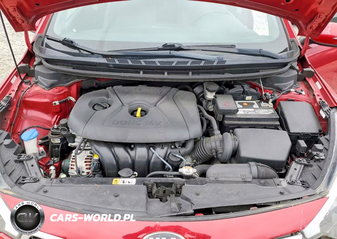 2015 Kia Forte Lx VIN:KNAFX4A64F5425603 - 11