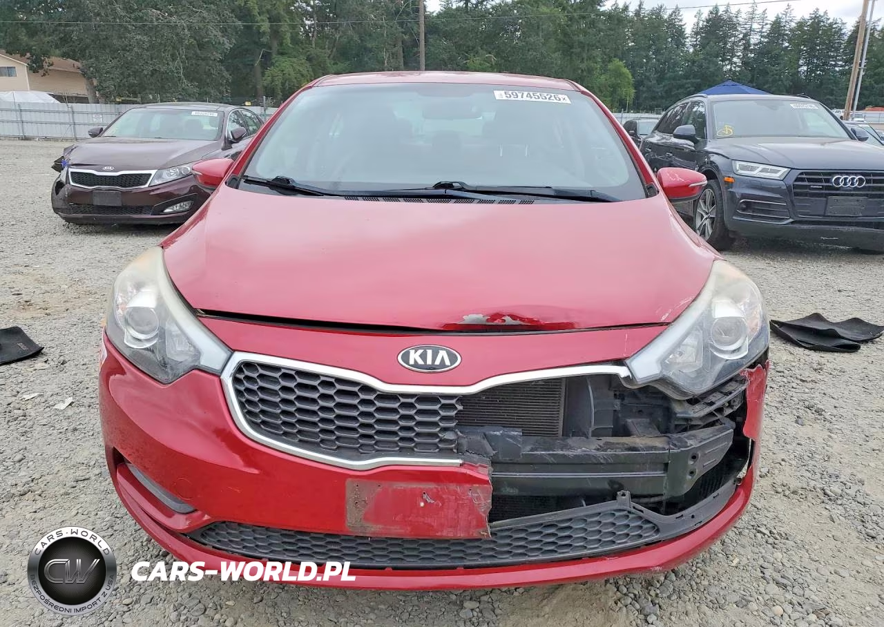 2015 Kia Forte Lx VIN:KNAFX4A64F5425603 - 5