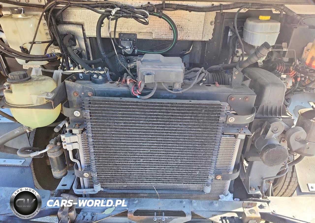 2021 Ford F59 Delivery Truck VIN:1F65F5KN5M0A02006 - 12