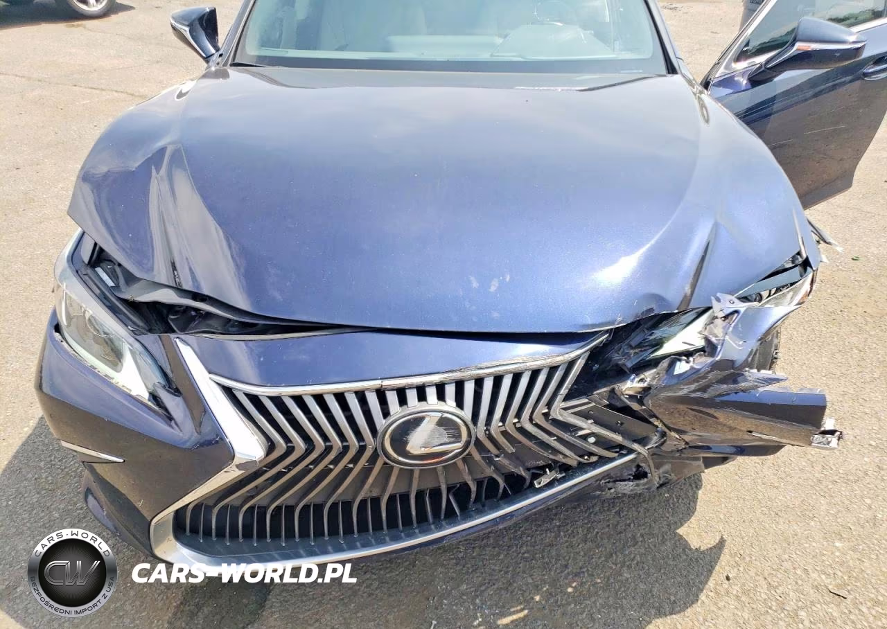 2021 Lexus Es 250 Base VIN:58AD11D10MU007296 - 11