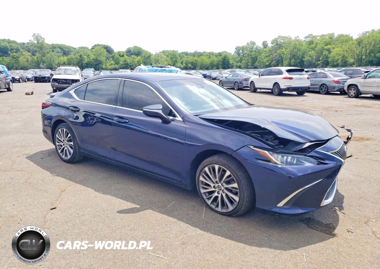 2021 Lexus Es 250 Base VIN:58AD11D10MU007296 - 4