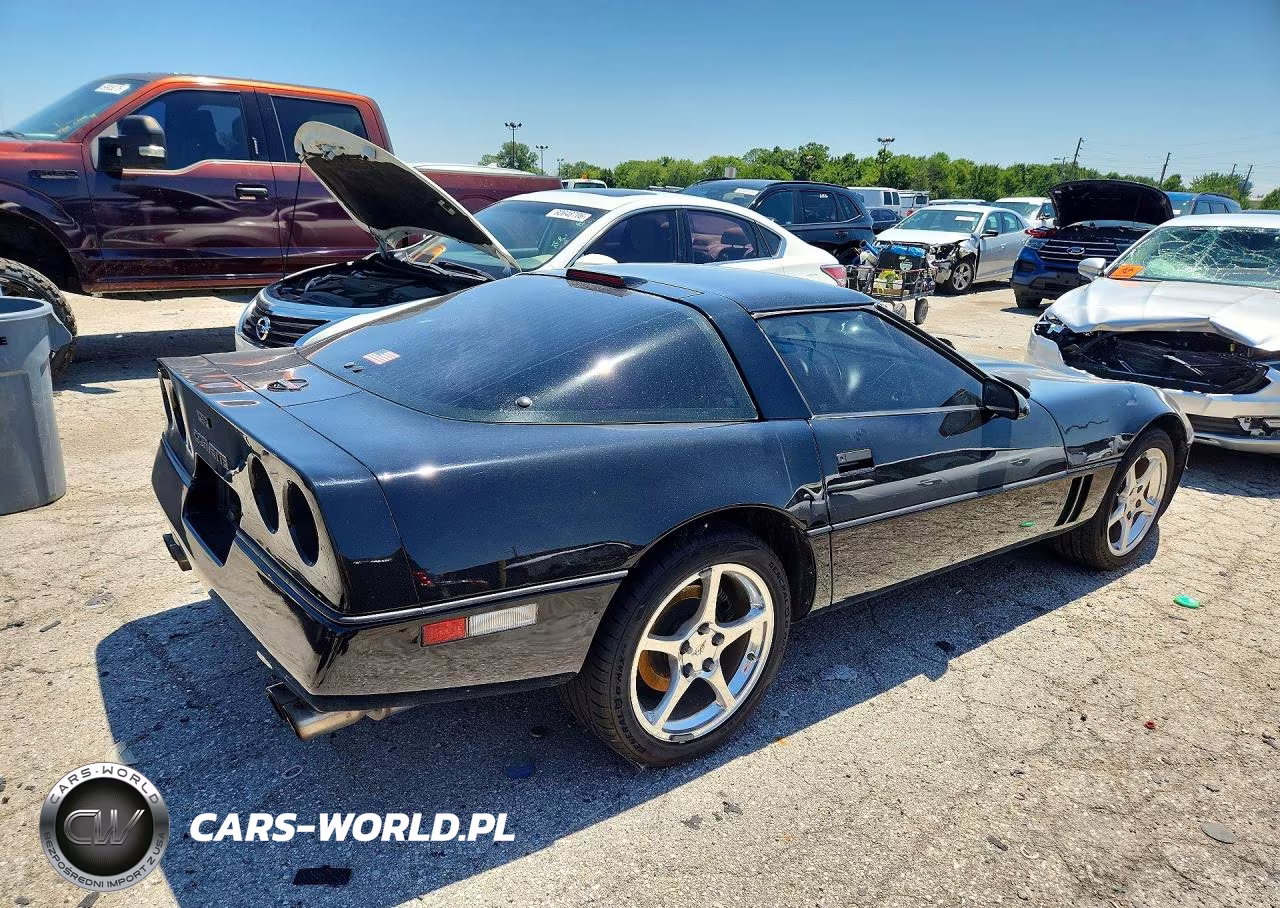 1990 Chevrolet Corvette VIN:1G1YY2389L5112224 - 3