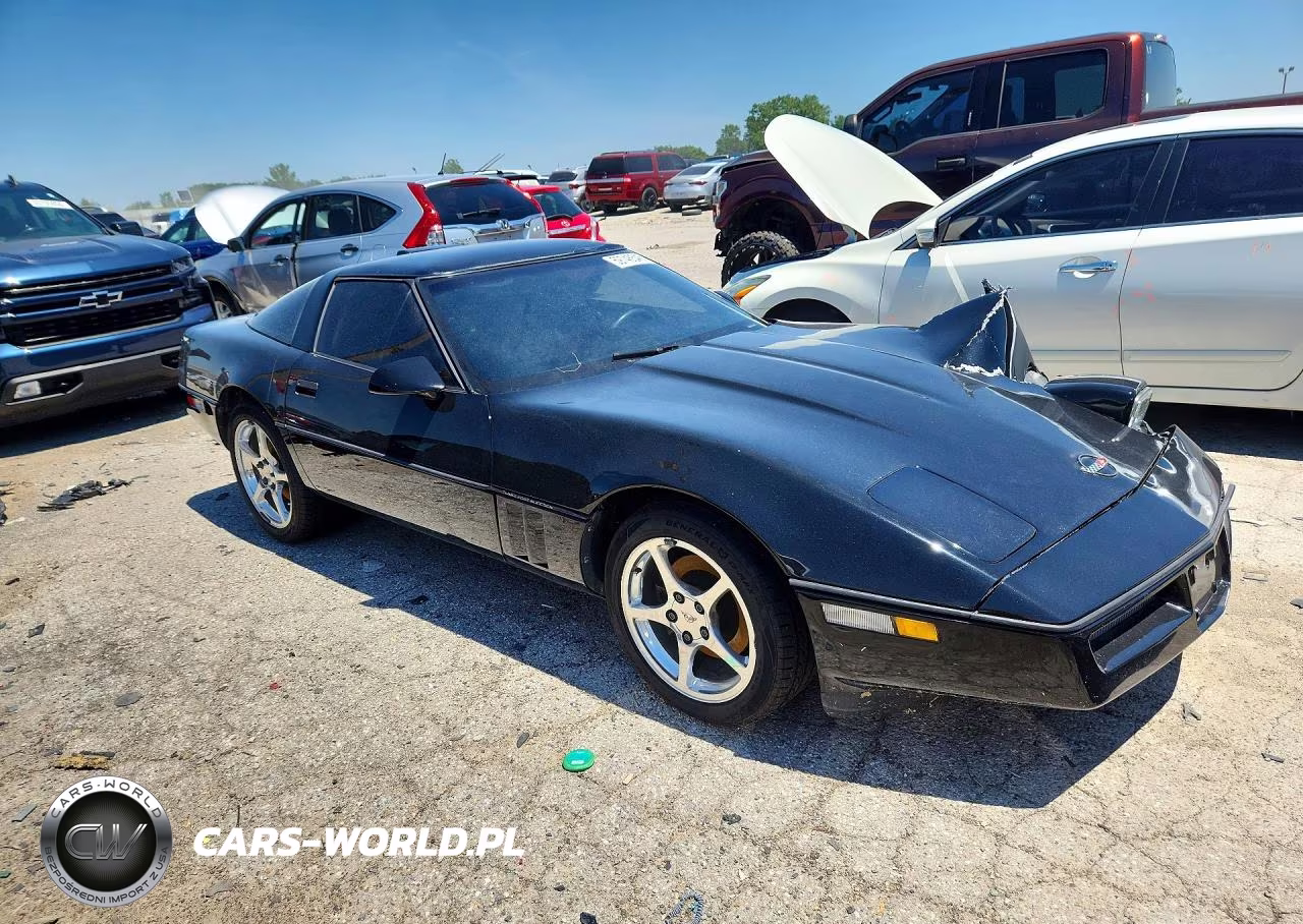 1990 Chevrolet Corvette VIN:1G1YY2389L5112224 - 4