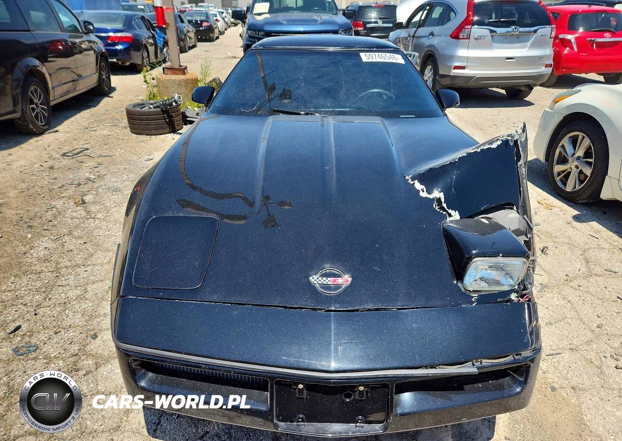 1990 Chevrolet Corvette VIN:1G1YY2389L5112224 - 5
