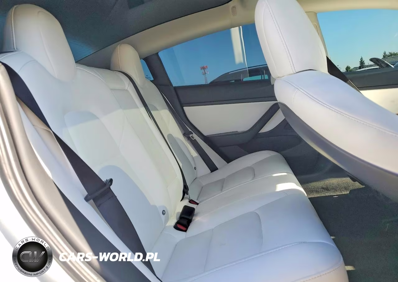 2018 Tesla Model 3 VIN:5YJ3E1EA9JF166154 - 10