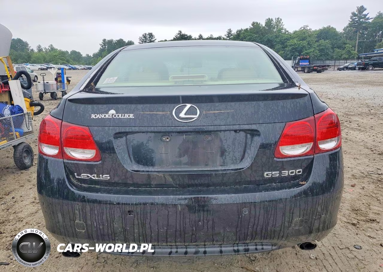 2006 Lexus Gs 300 VIN:JTHBH96S365000728 - 6