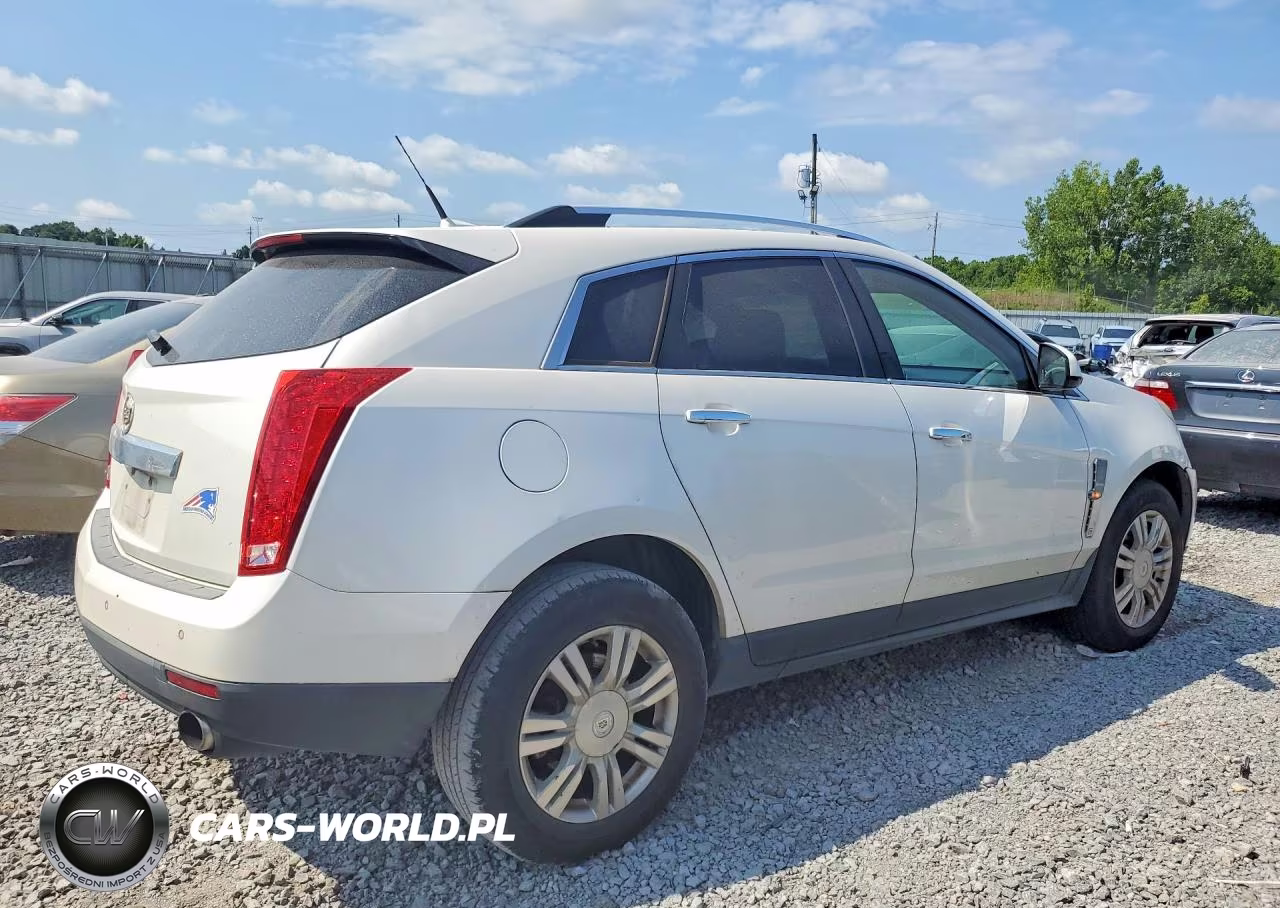 2010 Cadillac Srx Performance Collection VIN:3GYFNBEY7AS624727 - 3