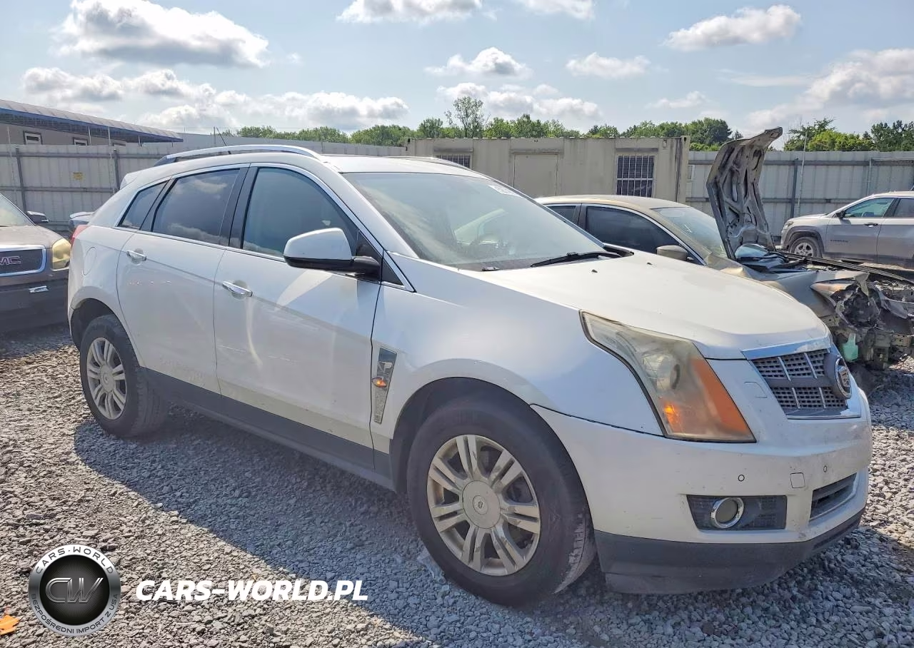 2010 Cadillac Srx Performance Collection VIN:3GYFNBEY7AS624727 - 4
