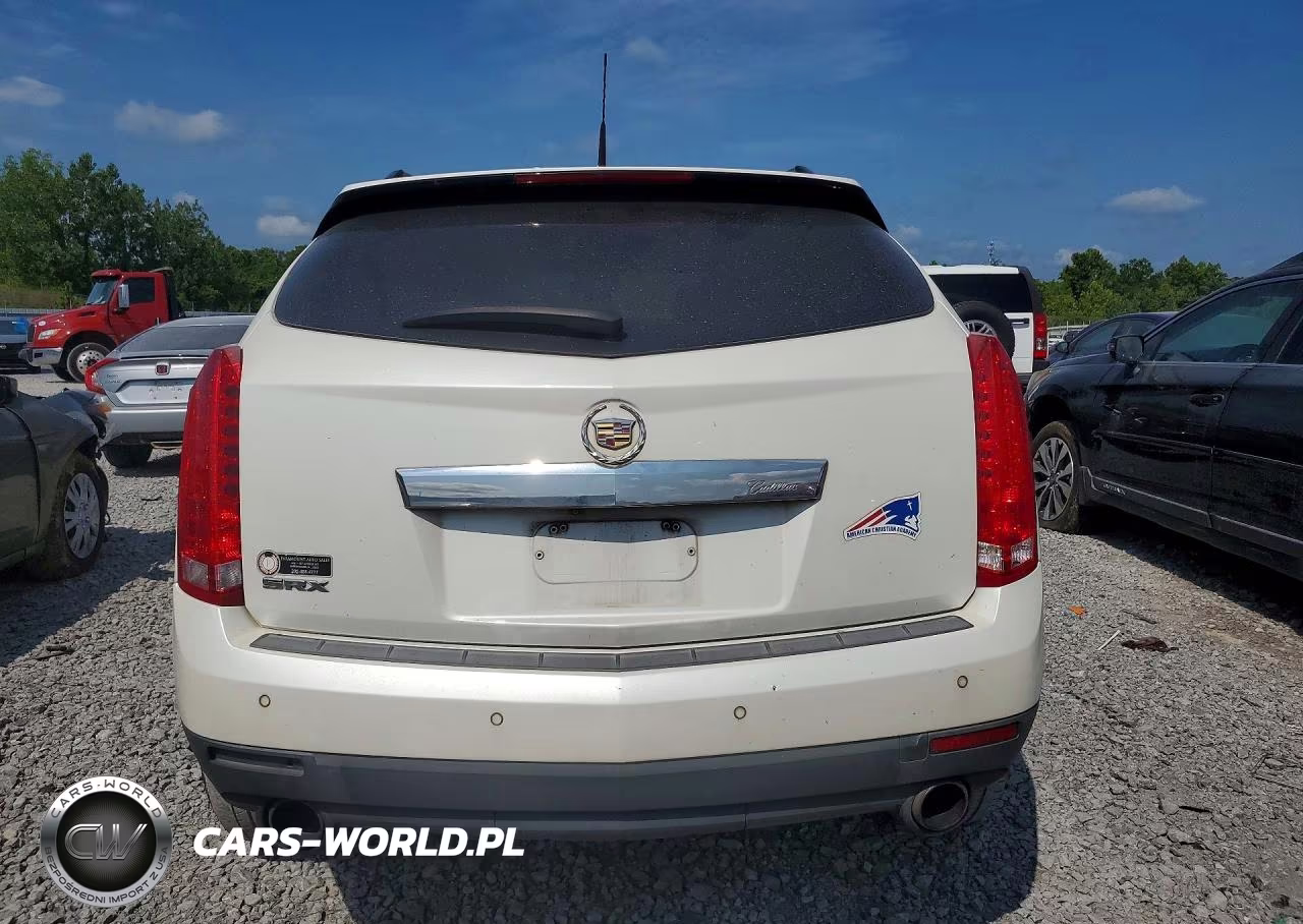 2010 Cadillac Srx Performance Collection VIN:3GYFNBEY7AS624727 - 6