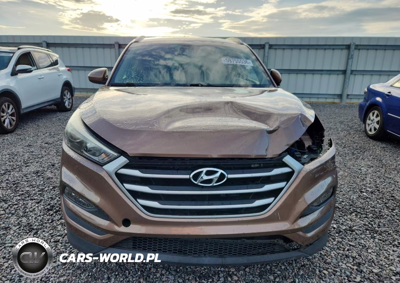 2017 Hyundai Accent 2D Blue-Gs VIN:KM8J33A48HU480738 - 5