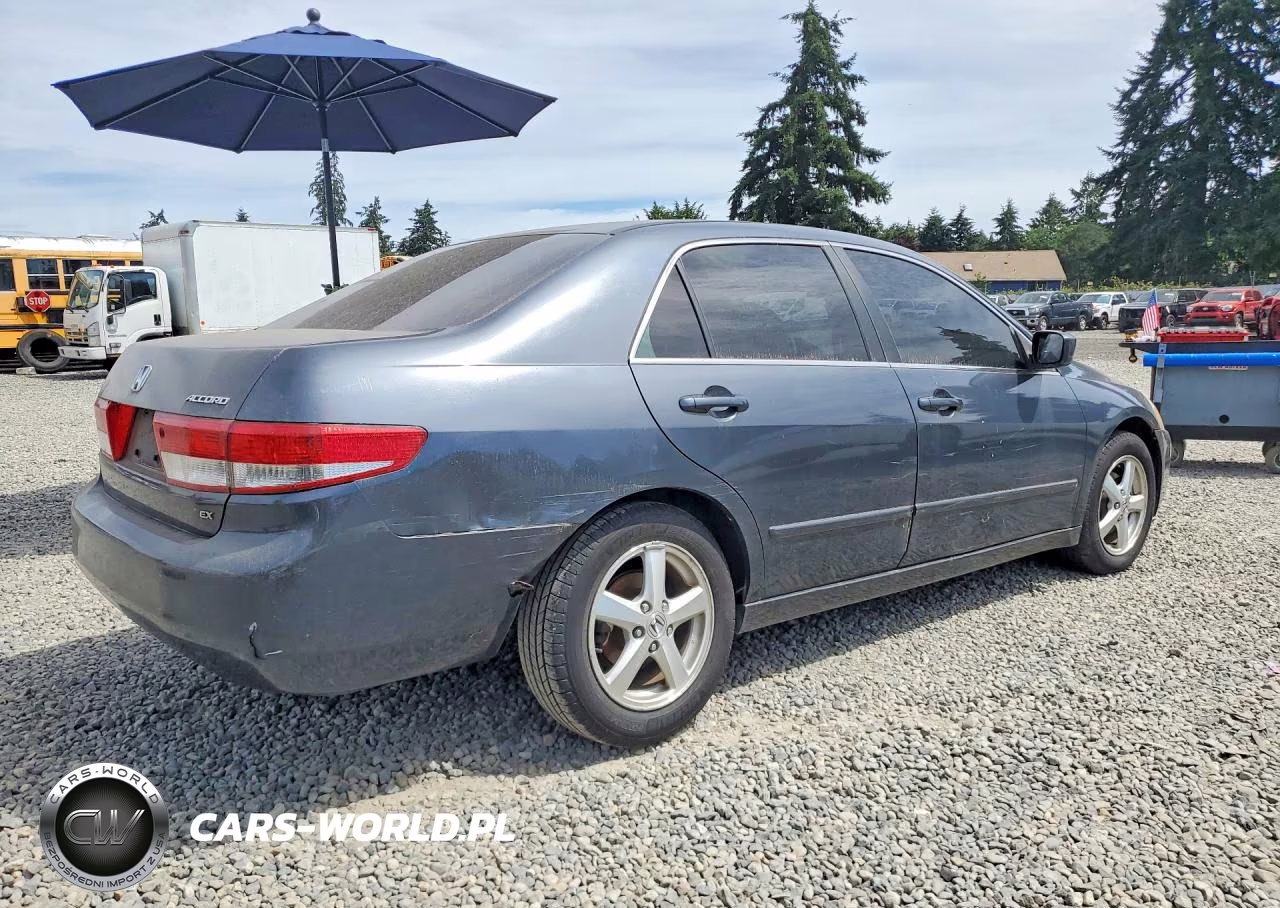 2003 Honda Accord Ex VIN:JHMCM56613C084437 - 3