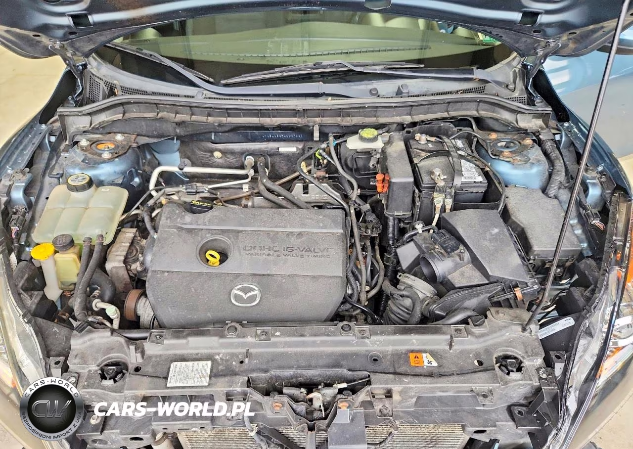 2010 Mazda 3 I VIN:JM1BL1SG5A1187120 - 11