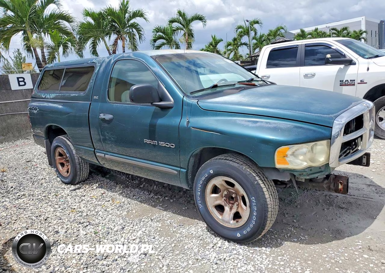 2002 Dodge Ram 1500 VIN:1D7HA16N72J120227 - 4