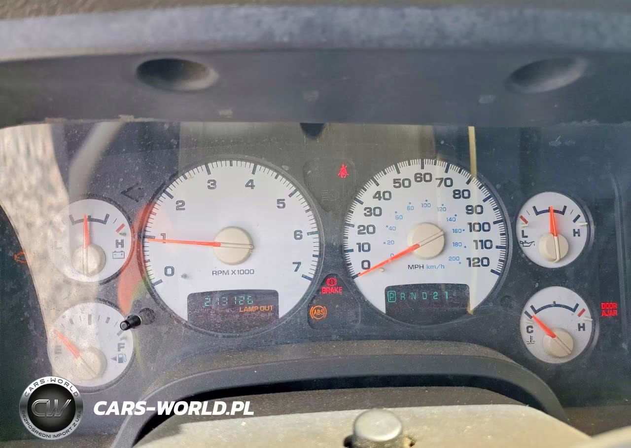 2002 Dodge Ram 1500 VIN:1D7HA16N72J120227 - 9
