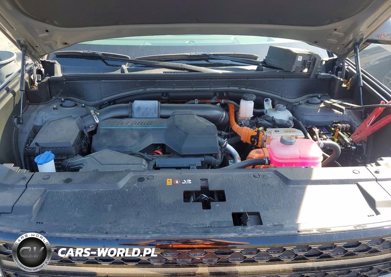 2024 Hyundai Santa Fe Calligraphy VIN:5NMP5DG17RH007031 - 12
