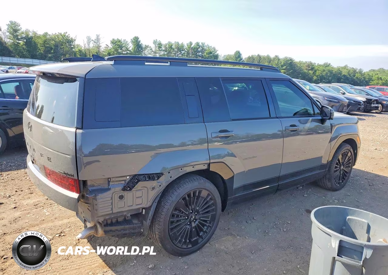 2024 Hyundai Santa Fe Calligraphy VIN:5NMP5DG17RH007031 - 3