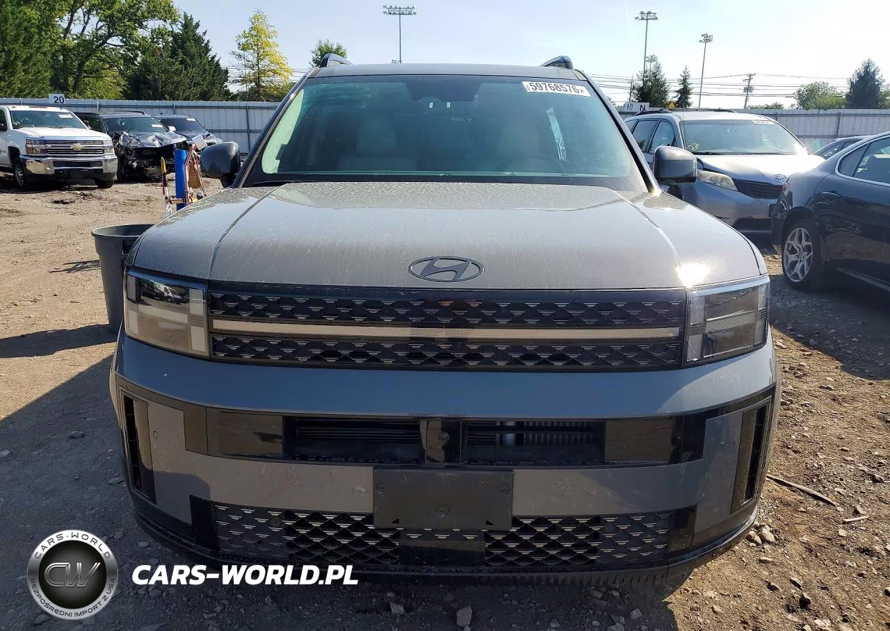 2024 Hyundai Santa Fe Calligraphy VIN:5NMP5DG17RH007031 - 5
