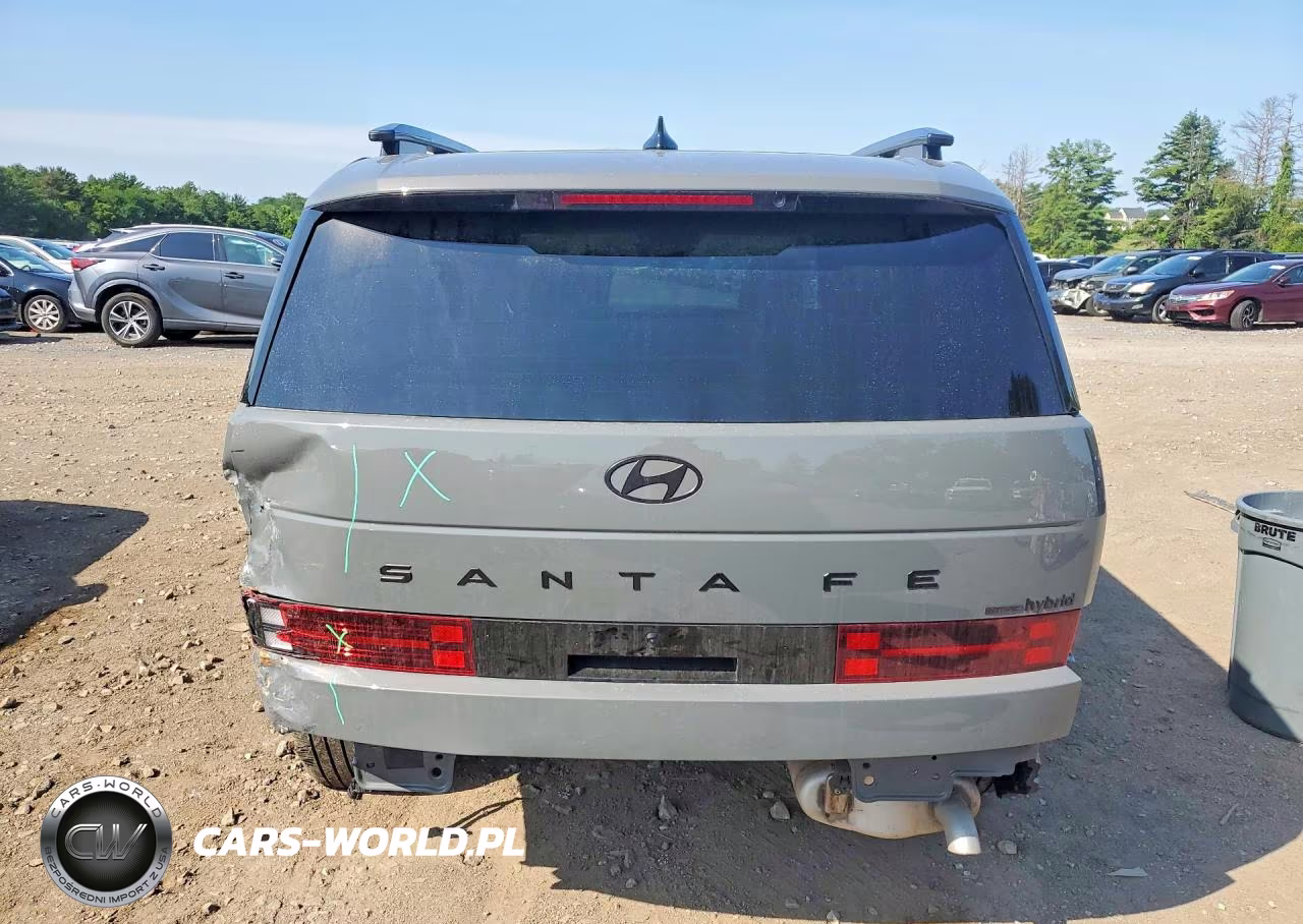 2024 Hyundai Santa Fe Calligraphy VIN:5NMP5DG17RH007031 - 6