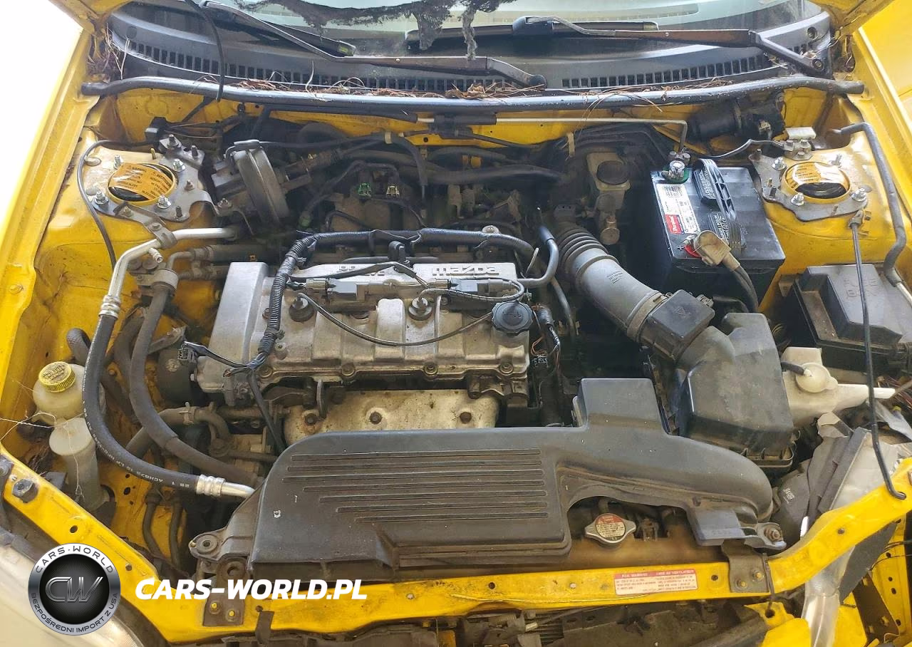2002 Mazda Protege Pr5 VIN:JM1BJ245521590524 - 11