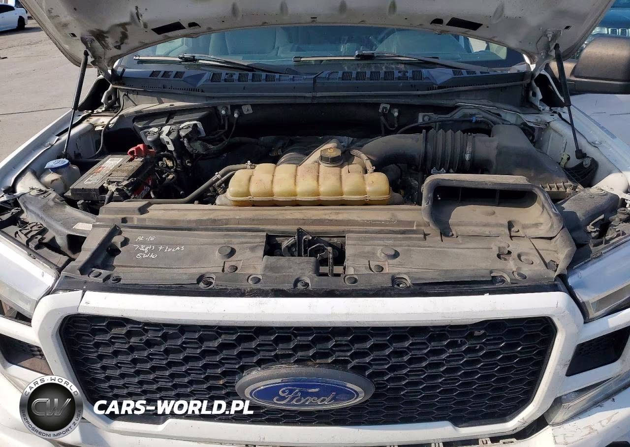 2019 Ford F150 Supercrew VIN:1FTEW1E56KKD68057 - 11
