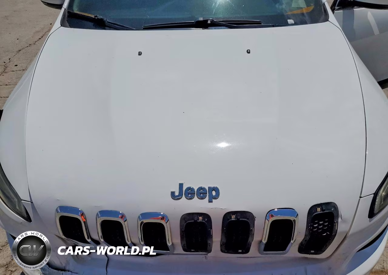 2014 Jeep Cherokee Limited VIN:1C4PJLDS6EW118535 - 12